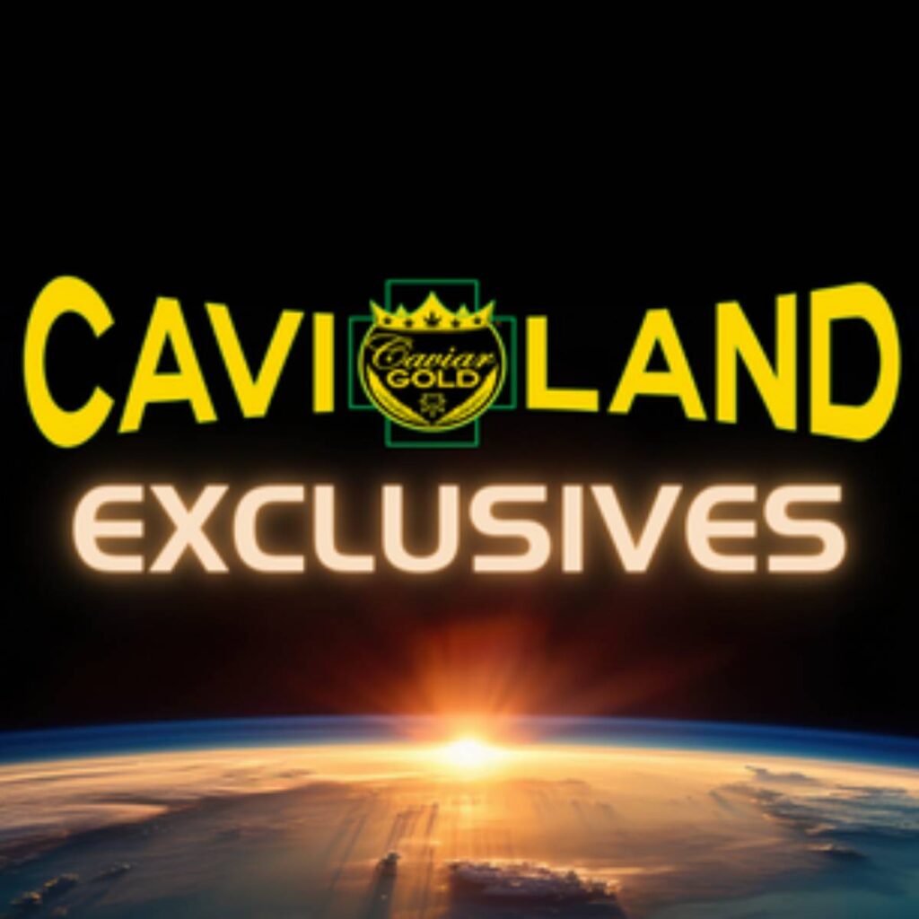 cavi land exclusive products